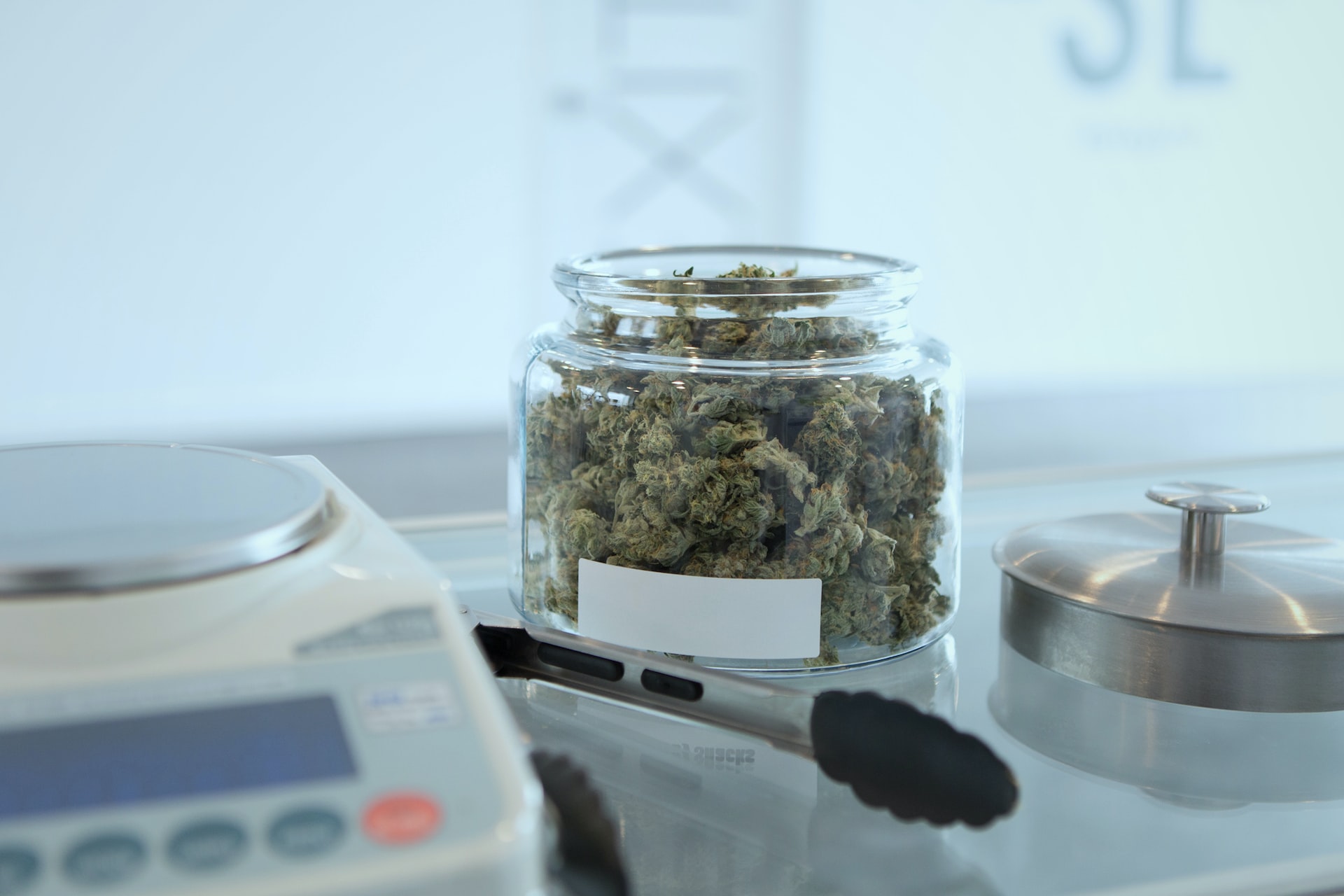 Michigan Medical Marijuana Dispensary License